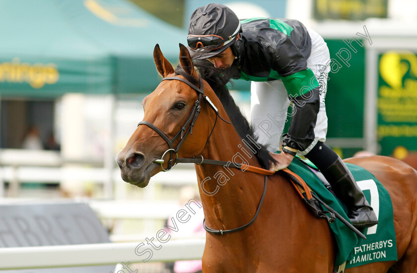 River-Of-Stars-0002 
 RIVER OF STARS (Rossa Ryan)
York 25 Aug 2023 - Pic Steven Cargill / Racingfotos.com