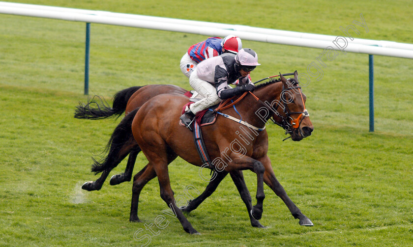 Lord-Of-The-Rock-0002 
 LORD OF THE ROCK (Graham Lee) wins The Betway Stubshaw Cross Handicap
Haydock 27 Apr 2019 - Pic Steven Cargill / Racingfotos.com