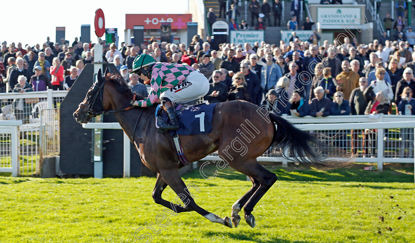 Aunt-Violet-0001 
 AUNT VIOLET (Saffie Osborne) wins The British EBF Fillies Novice Stakes
Yarmouth 18 Oct 2022 - Pic Steven Cargill / Racingfotos.com