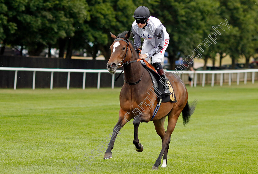 Pretty-Young-Thing-0001 
 PRETTY YOUNG THING (Robert Havlin)
Newmarket 29 Jul 2022 - Pic Steven Cargill / Racingfotos.com