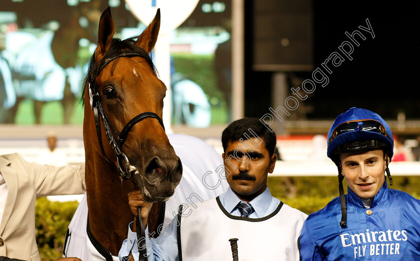 Poetic-Charm-0009 
 POETIC CHARM (William Buick) after The Balanchine Stakes
Meydan 14 Feb 2019 - Pic Steven Cargill / Racingfotos.com