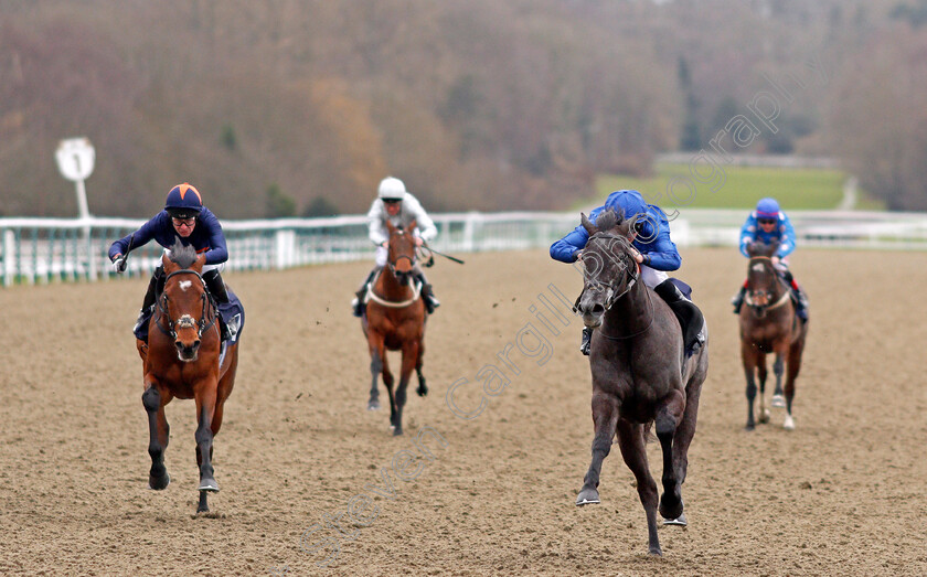 Broderie-0005 
 BRODERIE (Tom Marquand) beats CRAVING (left) in The 32Red Casino Novice Stakes Lingfield 2 Feb 2018 - Pic Steven Cargill / Racingfotos.com