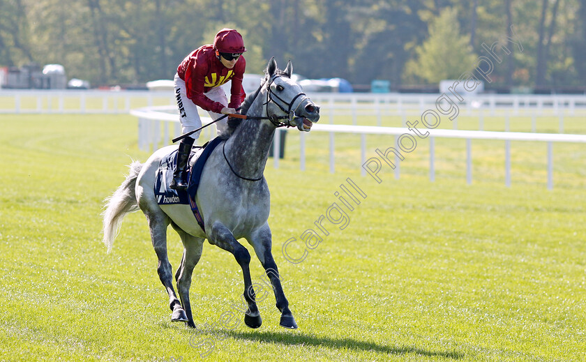 Cash-0001 
 CASH (Jamie Spencer)
Ascot 3 May 2023 - Pic Steven Cargill / Racingfotos.com