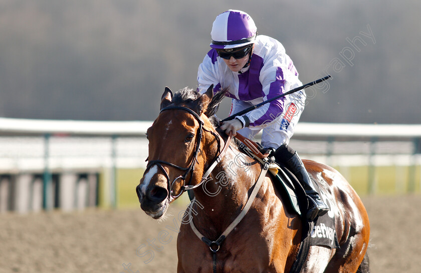 Gorgeous-Noora-0007 
 GORGEOUS NOORA (Hollie Doyle) wins The Betway Hever Sprint Stakes
Lingfield 23 Feb 2019 - Pic Steven Cargill / Racingfotos.com