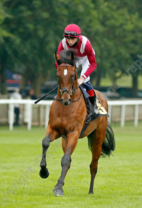 Altraif-0001 
 ALTRAIF (David Egan)
Newmarket 9 Jul 2021 - Pic Steven Cargill / Racingfotos.com