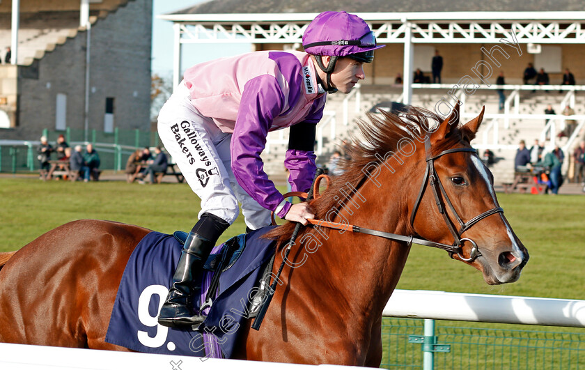 Azpeitia-0001 
 AZPEITIA (Richard Kingscote) Doncaster 11 Nov 2017 - Pic Steven Cargill / Racingfotos.com