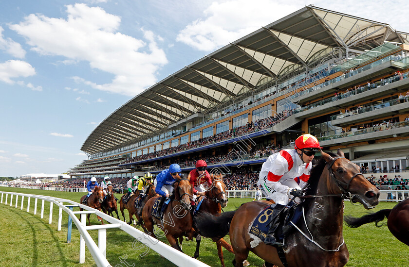 Ruler-Legend-0003 
 RULER LEGEND (Jamie Spencer)
Royal Ascot 15 Jun 2022 - Pic Steven Cargill / Racingfotos.com