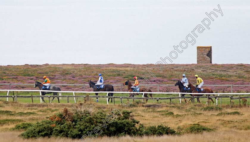 Les-Landes-0004 
 Horses gather at the start for race 2 at Les Landes, Jersey
26 Aug 2019 - Pic Steven Cargill