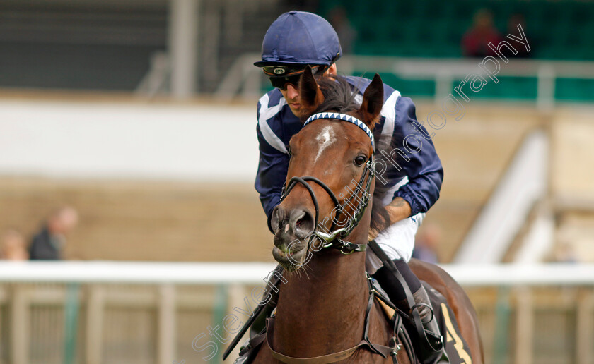 Better-0001 
 BETTER (Kevin Stott)
Newmarket 28 Sep 2023 - Pic Steven Cargill / Racingfotos.com