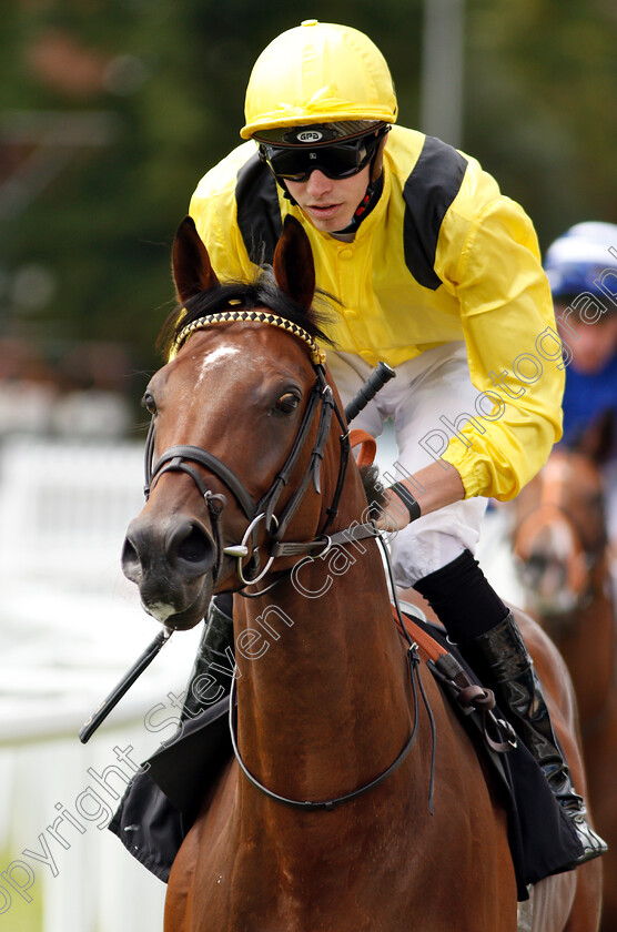 Boerhan-0001 
 BOERHAN (James Doyle)
Newbury 17 Aug 2018 - Pic Steven Cargill / Racingfotos.com