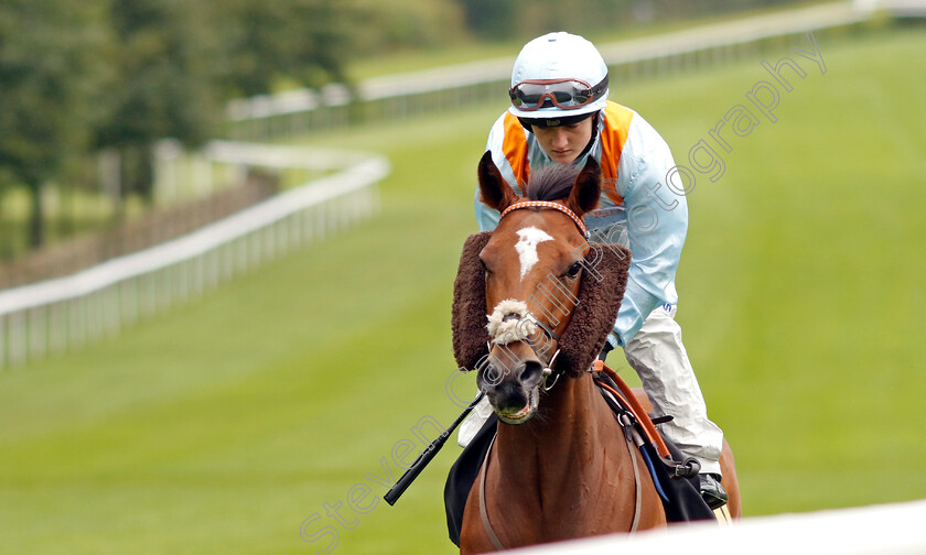 Defying-Orders-0001 
 DEFYING ORDERS (Hollie Doyle)
Newmarket 5 Aug 2023 - Pic Steven Cargill / Racingfotos.com