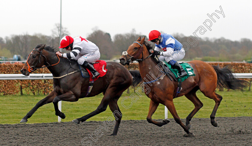 Study-The-Stars-0002 
 STUDY THE STARS (P J McDonald) beats BEIJA FLOR (right) in The Join Racing TV Now Handicap
Div 1
Kempton 31 Mar 2021 - Pic Steven Cargill / Racingfotos.com