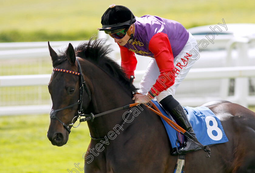 Educator-0001 
 EDUCATOR (Tom Marquand)
Epsom 25 Apr 2023 - Pic Steven Cargill / Racingfotos.com