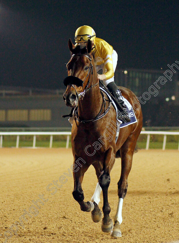 Al-Nefud-0003 
 AL NEFUD (Ryan Moore)
Meydan 4 Feb 2022 - Pic Steven Cargill / Racingfotos.com