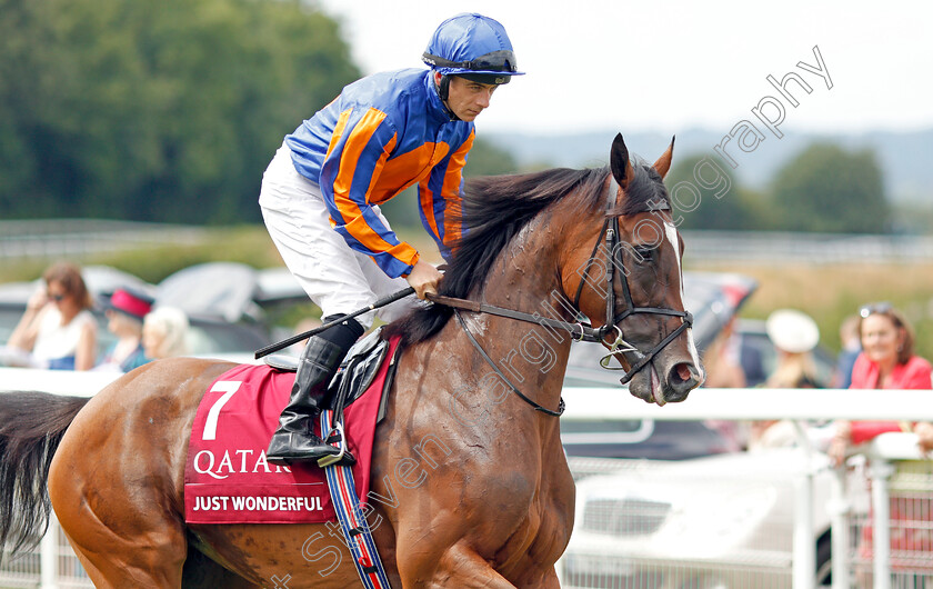 Just-Wonderful-0001 
 JUST WONDERFUL (Wayne Lordan)
Goodwood 1 Aug 2019 - Pic Steven Cargill / Racingfotos.com