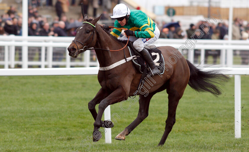 Birchdale-0006 
 BIRCHDALE (Barry Geraghty) wins The Ballymore Novices Hurdle
Cheltenham 26 Jan 2019 - Pic Steven Cargill / Racingfotos.com