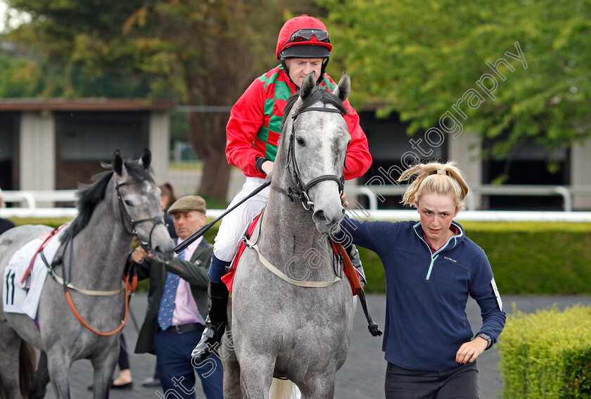 Anna-Of-Saxony-0001 
 ANNA OF SAXONY (Liam Keniry)
Kempton 12 Jun 2024 - Pic Steven Cargill / Racingfotos.com