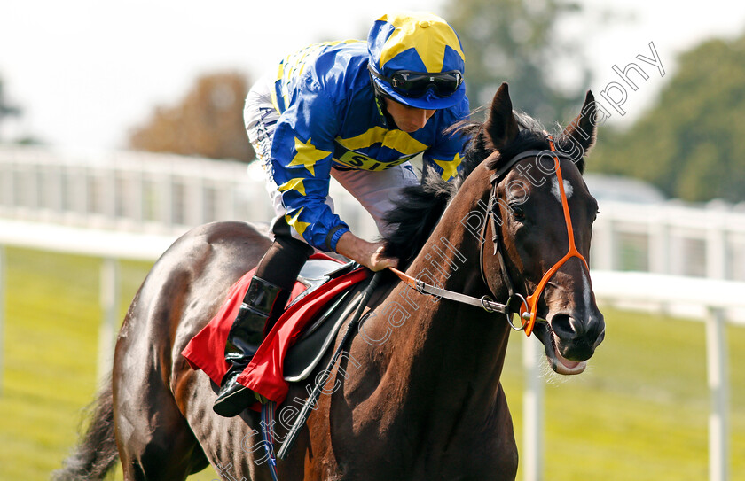 Bathsheba-Bay-0001 
 BATHSHEBA BAY (Ryan Moore) winner of The British Stallion Studs EBF Maiden Stakes Div2 Sandown 1 Sep 2017 - Pic Steven Cargill / Racingfotos.com