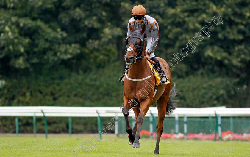 Summerghand-0002 
 SUMMERGHAND (Daniel Tudhope)
Haydock 4 Sep 2021 - Pic Steven Cargill / Racingfotos.com