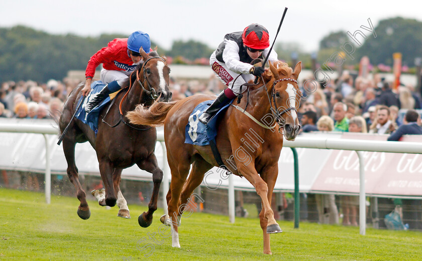 Search-For-A-Song-0004 
 SEARCH FOR A SONG (Oisin Murphy) wins The British EBF & Sir Henry Cecil Galtres Stakes
York 22 Aug 2019 - Pic Steven Cargill / Racingfotos.com