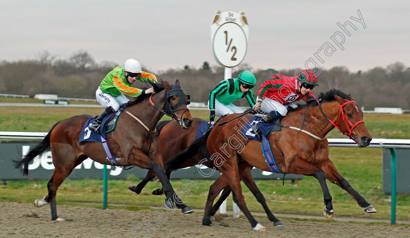 Easy-Tiger-0001 
 EASY TIGER (Georgia Cox) beats DUTCH UNCLE (left) in The Betway Apprentice Handicap Lingfield 2 Feb 2018 - Pic Steven Cargill / Racingfotos.com