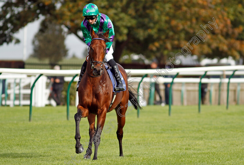 Prague-0011 
 PRAGUE (Daniel Tudhope) winner of The Al Basti Equiworld Dubai Joel Stakes
Newmarket 27 Sep 2024 - Pic Steven Cargill / Racingfotos.com