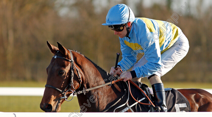 Cottonopolis-0001 
 COTTONOPOLIS (Joe Fanning)
Chelmsford 11 Feb 2020 - Pic Steven Cargill / Racingfotos.com