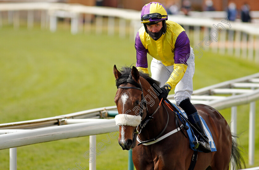 Dark-Moon-Rising-0001 
 DARK MOON RISING (Tom Eaves)
York 13 May 2021 - Pic Steven Cargill / Racingfotos.com