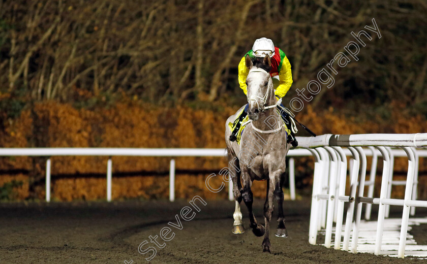 Champagne-Prince-0009 
 CHAMPAGNE PRINCE (William Buick) winner of The Unibet Wild Flower Stakes
Kempton 11 Dec 2024 - Pic Steven Cargill / Racingfotos.com