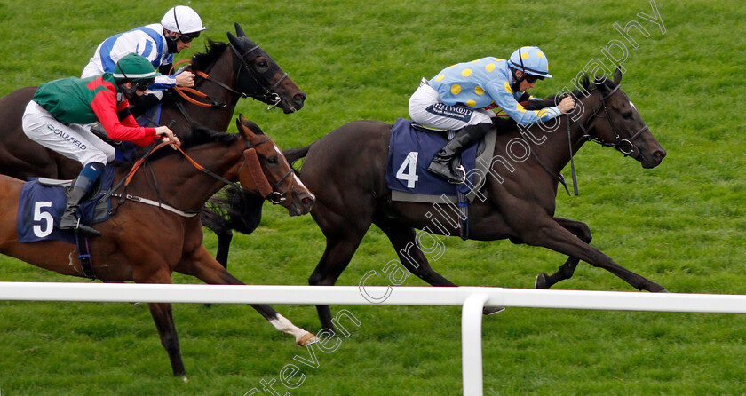 Dashing-Roger-0004 
 DASHING ROGER (Harry Bentley) wins The Moulton Nurseries Handicap
Yarmouth 16 Sep 2020 - Pic Steven Cargill / Racingfotos.com