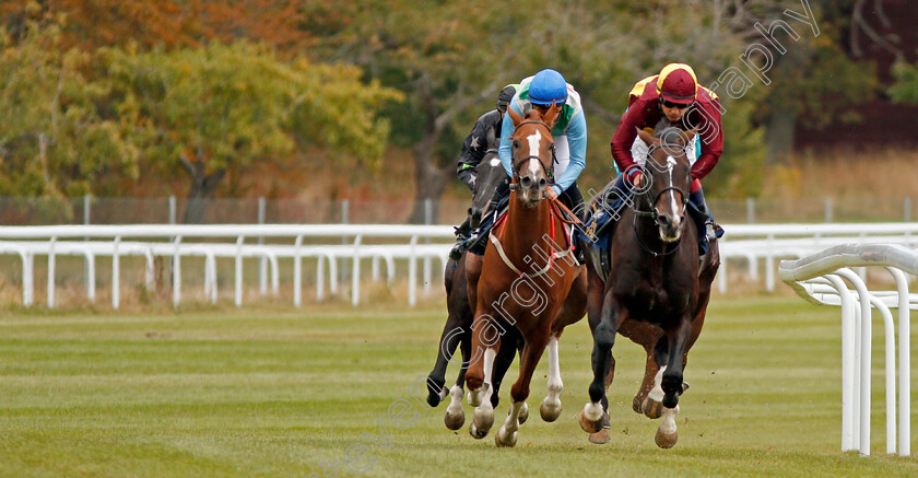 Baltic-Eagle-0001 
 BALTIC EAGLE (left, Jan-Erik Neuroth) with ALBERONE (right) on his way to winning The Bro Park Festival Handicap
Bro Park, Sweden 22 Sep 2019 - Pic Steven Cargill / Racingfotos.com