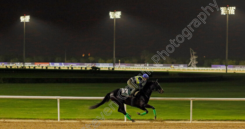 Justin-Palace-0001 
 JUSTIN PALACE training for The Sheema Classic
Meydan Dubai 26 Mar 2024 - Pic Steven Cargill / Racingfotos.com