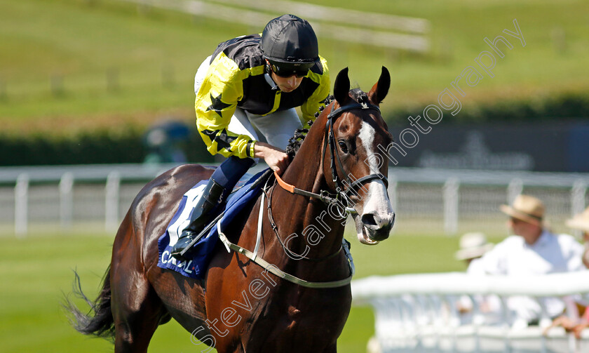 Wadacre-Gomez-0002 
 WADACRE GOMEZ (William Buick)
Goodwood 30 Jul 2024 - Pic Steven Cargill / Racingfotos.com