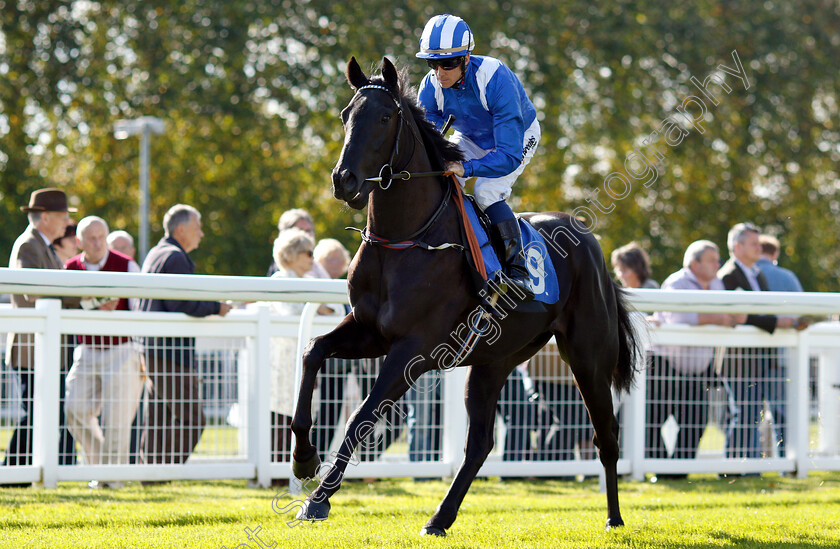 Nassam-0001 
 NASSAM (Jim Crowley)
Salisbury 3 Oct 2018 - Pic Steven Cargill / Racingfotos.com