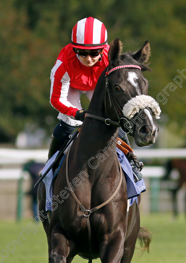 Duty-First-0001 
 DUTY FIRST (Hollie Doyle)
Newmarket 27 Sep 2024 - Pic Steven Cargill / Racingfotos.com