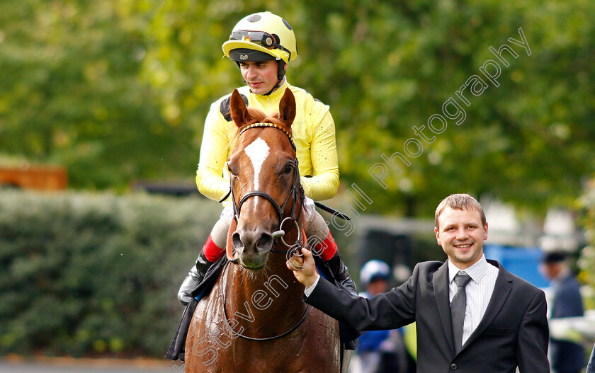 Cape-Byron-0007 
 CAPE BYRON (Andrea Atzeni) after The Leo Bancroft Signature Hair Care Classified Stakes Ascot 8 Sep 2017 - Pic Steven Cargill / Racingfotos.com