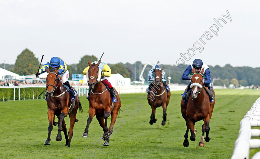 Coltrane-0005 
 COLTRANE (right, David Probert) beats LISMORE (centre) and TRUESHAN (left) in The Coral Doncaster Cup
Doncaster 11 Sep 2022 - Pic Steven Cargill / Racingfotos.com