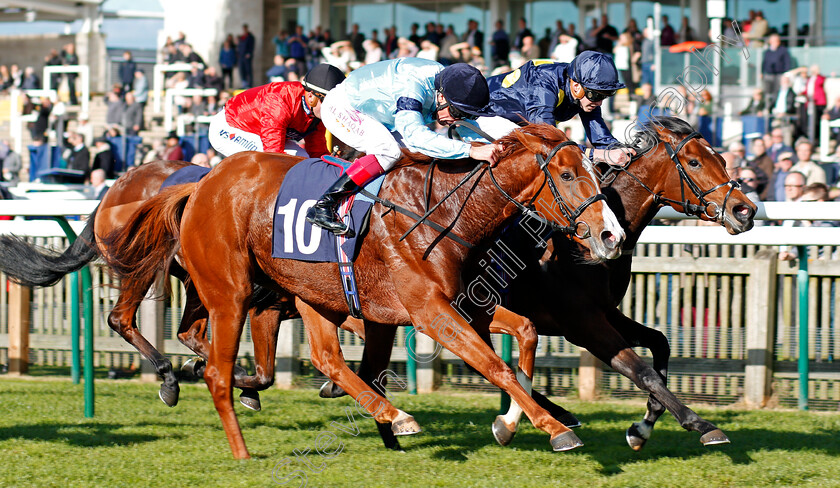 Timpani-0002 
 TIMPANI (left, Frankie Dettori) beats LEFT ALONE (right) in The Rewards4racing Fillies Novice Median Auction Stakes Div2 Newmarket 25 Oct 2017 - Pic Steven Cargill / Racingfotos.com