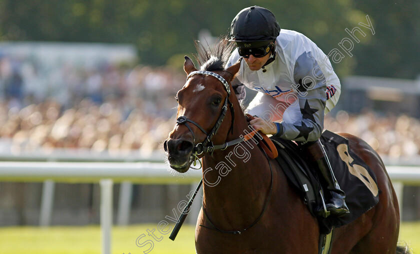 Righthere-Rightnow-0002 
 RIGHTHERE RIGHTNOW (Robert Havlin) wins The Maritime Cargo Services Road Haulage Hustle EBF Newcomers Maiden Stakes
Newmarket 9 Aug 2024 - Pic Steven Cargill / Racingfotos.com