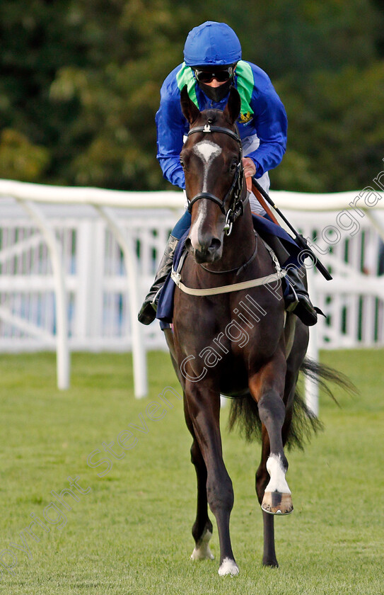 Night-Moment-0001 
 NIGHT MOMENT (William Buick) winner of The Betway British Stallion Studs EBF Novice Median Auction Stakes Div1
Lingfield 26 Aug 2020 - Pic Steven Cargill / Racingfotos.com