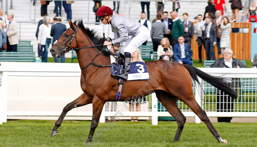 Hlaitan-0002 
 HLAITAN (Jason Watson)
Ascot 7 Sep 2019 - Pic Steven Cargill / Racingfotos.com