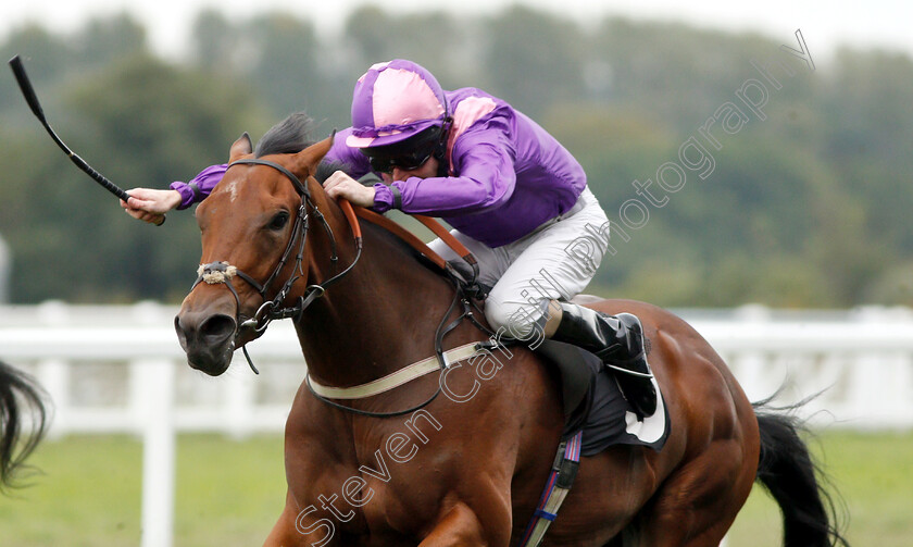 Mountain-Peak-0003 
 MOUNTAIN PEAK (Liam Keniry) wins The Halgarten Wines Handicap
Ascot 8 Sep 2018 - Pic Steven Cargill / Racingfotos.com