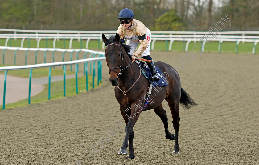 Lakota-Brave-0003 
 LAKOTA BRAVE (Hollie Doyle)
Lingfield 4 Apr 2024 - Pic Steven Cargill / Racingfotos.com