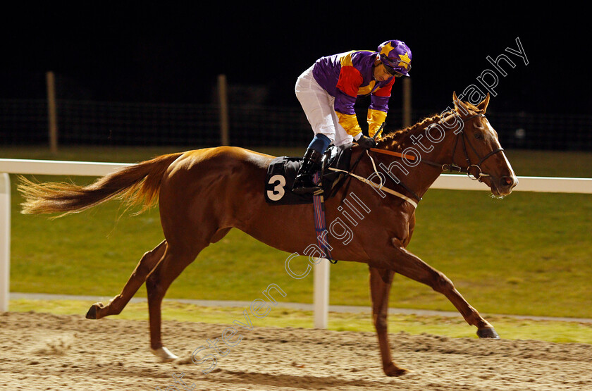 Lucky-Deal-0002 
 LUCKY DEAL (Silvestre De Sousa) winner of The Bet totequadpot At betfred.com Conditions Stakes Chelmsford 23 Nov 2017 - Pic Steven Cargill / Racingfotos.com