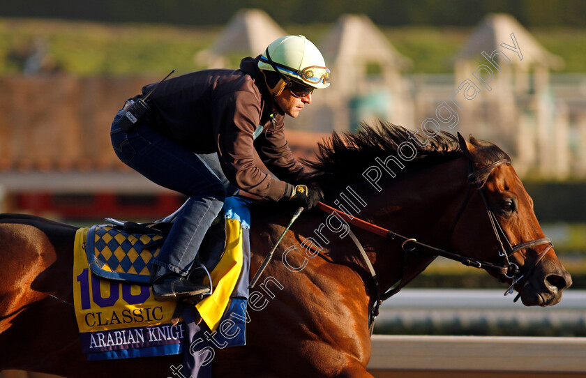 Arabian-Knight-0007 
 ARABIAN KNIGHT training for The Breeders' Cup Classic
Santa Anita USA, 30 Oct 2023 - Pic Steven Cargill / Racingfotos.com