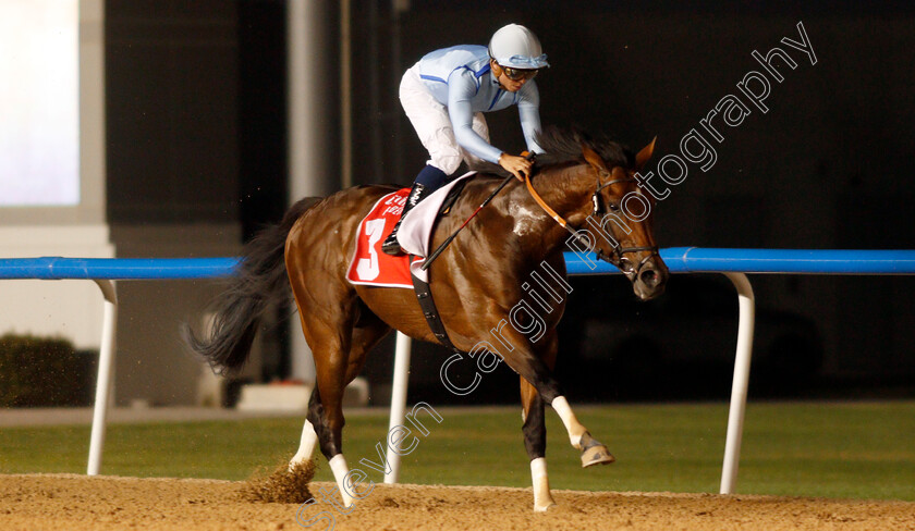 Matterhorn-0006 
 MATTERHORN (Mickael Barzalona) wins The Al Maktoum Challenge Round 3
Meydan 7 Mar 2020 - Pic Steven Cargill / Racingfotos.com