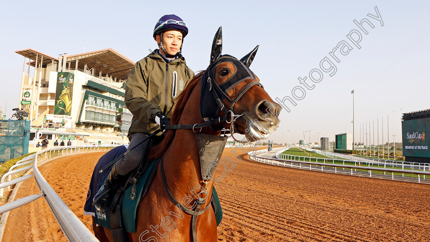 T-O-Keynes-0002 
 T O KEYNES training for the Saudi Cup
King Abdulaziz Racetrack, Riyadh, Saudi Arabia 24 Feb 2022 - Pic Steven Cargill / Racingfotos.com