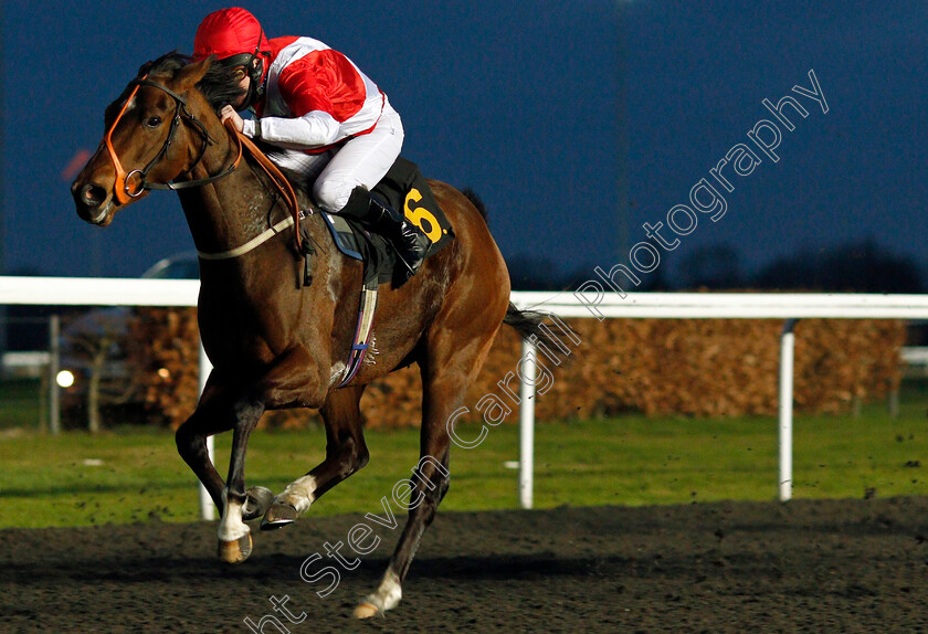 Vina-Bay-0004 
 VINA BAY (Liam Keniry) wins The Unibet 3 Uniboosts A Day Handicap
Kempton 24 Feb 2021 - Pic Steven Cargill / Racingfotos.com