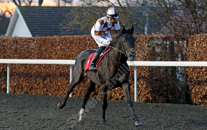 Dark-Scimitar-0001 
 DARK SCIMITAR (Daniel Muscutt)
Kempton 29 Jan 2020 - Pic Steven Cargill / Racingfotos.com