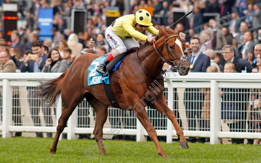 Cape-Byron-0003 
 CAPE BYRON (Andrea Atzeni) wins The John Guest Racing Bengough Stakes
Ascot 5 Oct 2019 - Pic Steven Cargill / Racingfotos.com